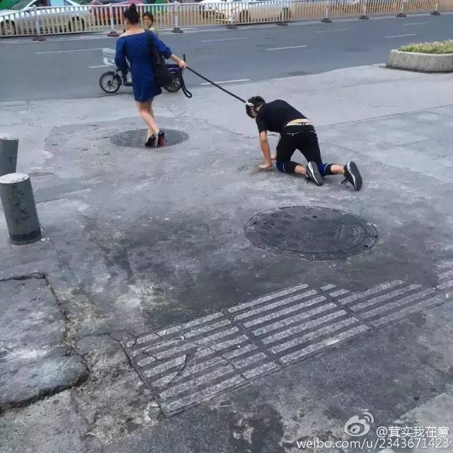 狗链下跪图片