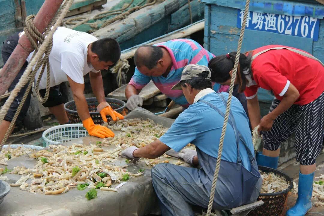 在碼頭上買海鮮咋比市場上還貴?價格倒掛早報記者探疑