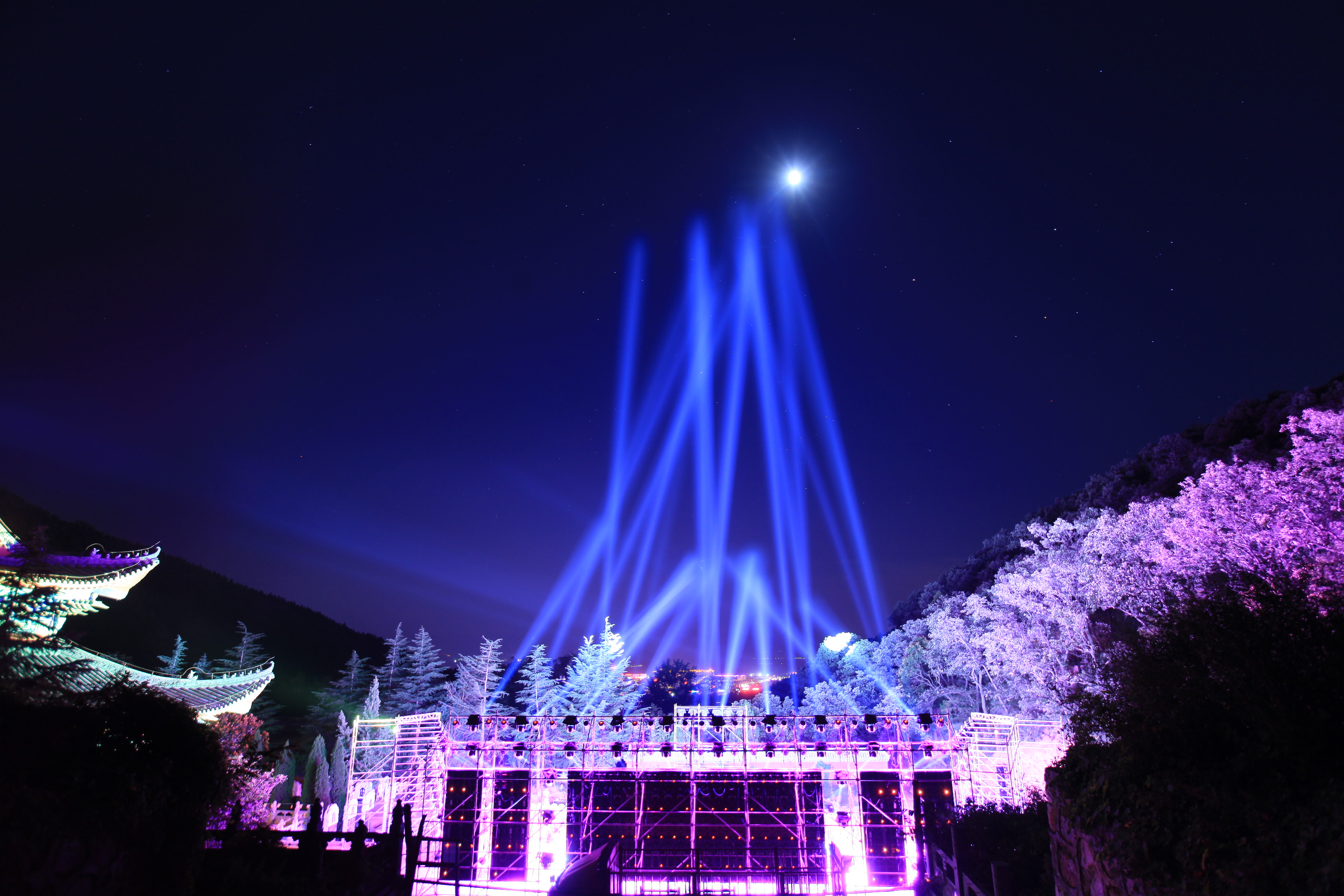 萨顶顶月夜现身大法王寺 梵音颂佛传灯祈福