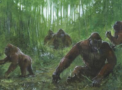 远古巨猿由于气候变迁而灭绝