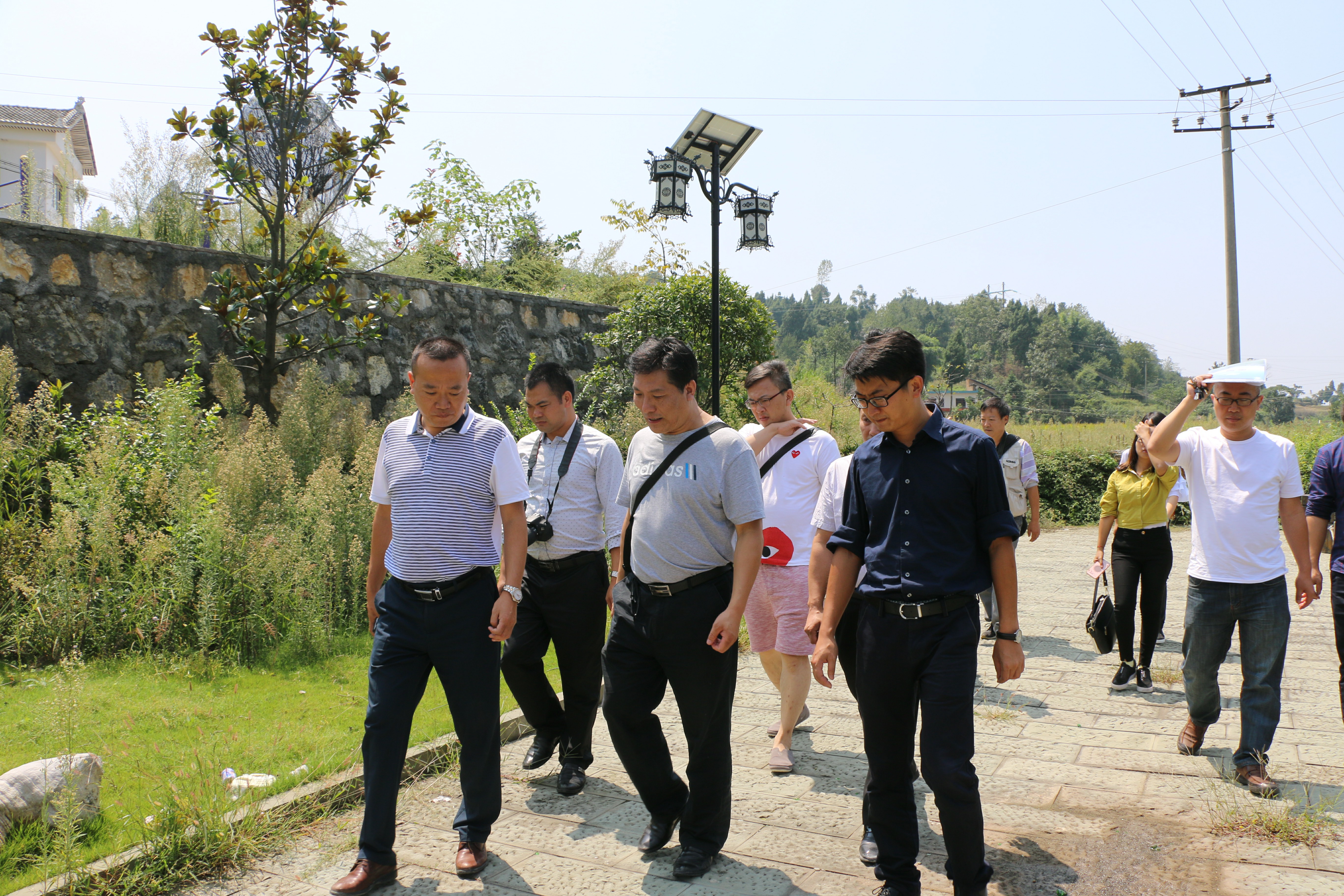 应城市三合镇名人图片