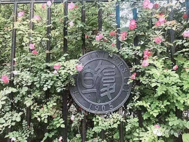 复旦大学围墙图片