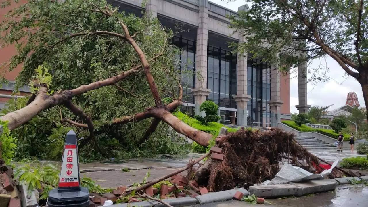 全员抗莫兰蒂台风集大挺住