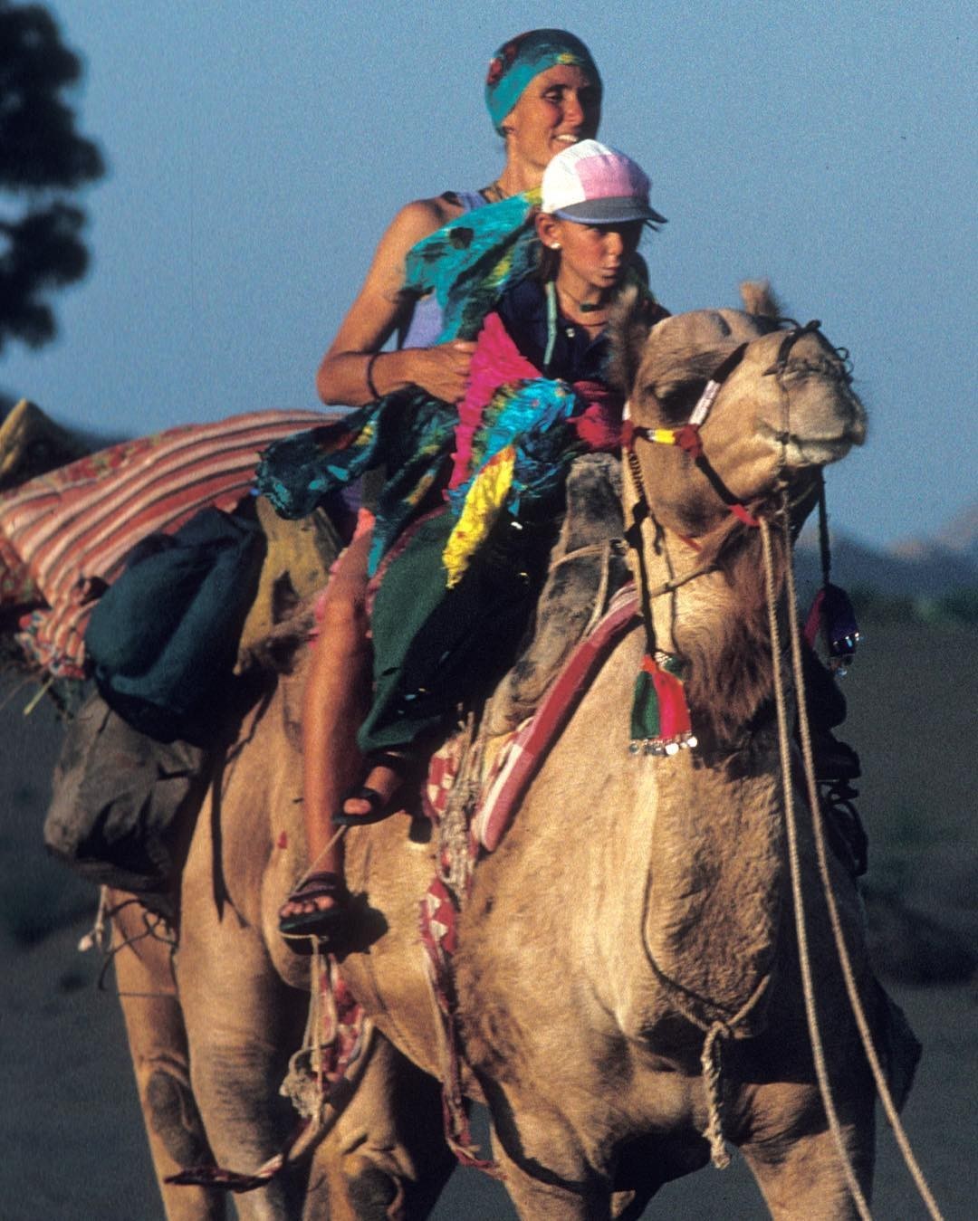 沙漠骑骆驼▼也许是遗传了父母的冒险基因,alison 从小就自己上山下海