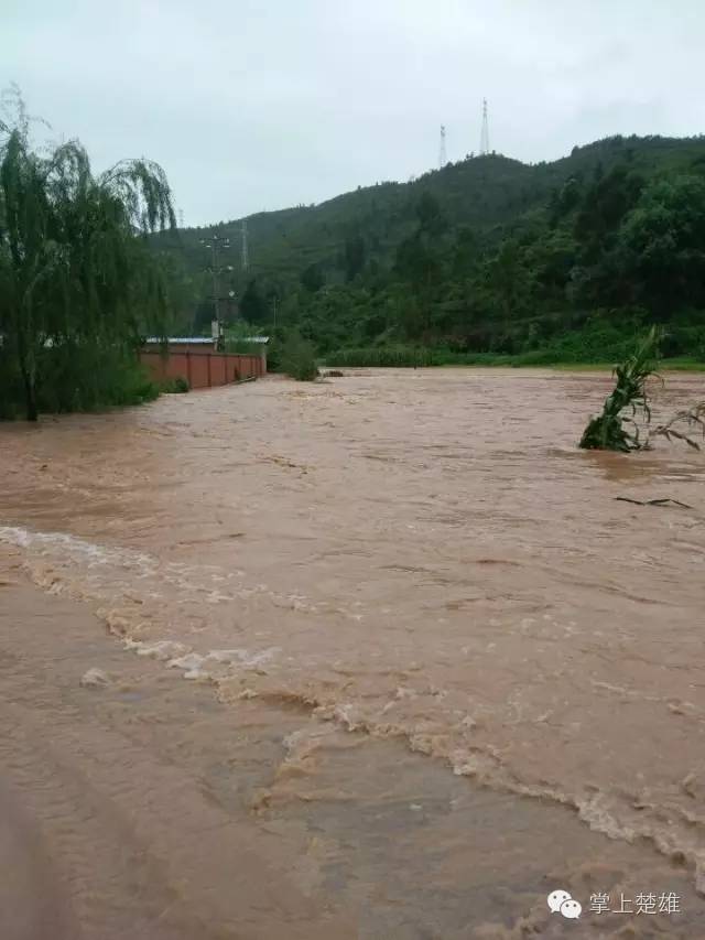 楚雄雄起!暴雨過後是晴天!(多圖)