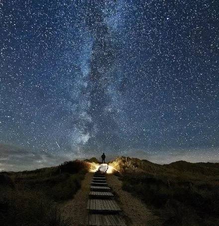 不要温和地走进那个良夜,老年应当在日暮时燃烧咆哮;怒斥,怒斥光明的