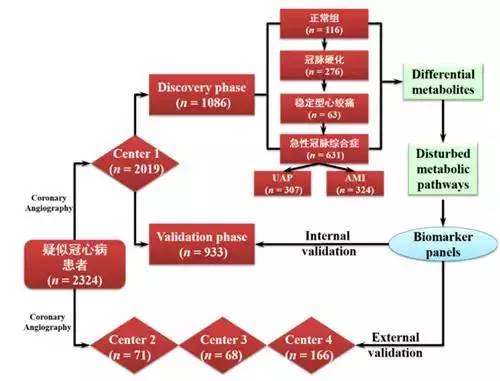 药大学者揭示冠心病早期诊断和临床分型的血液代谢标志物