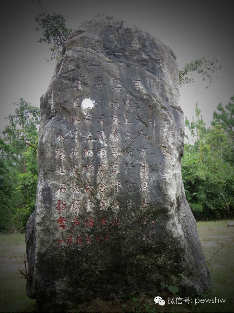 宁洱的故事:普阳八景之茶庵鸟道