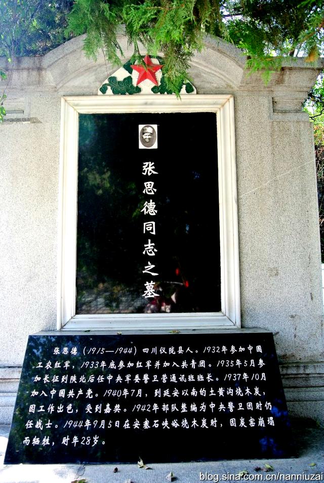 秦邦宪墓图片