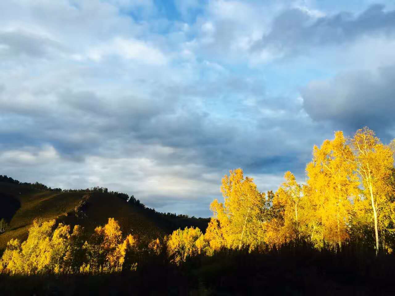 呼倫貝爾 阿爾山 杜鵑湖 已開啟最佳