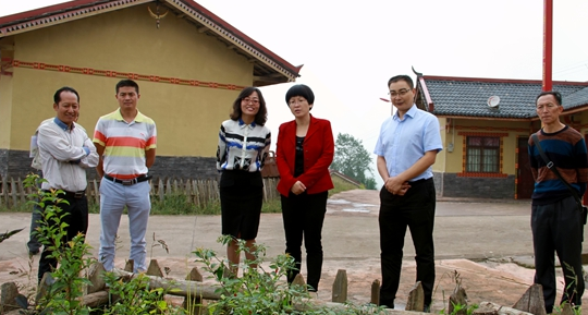 于丽:峨边应结合实际,打破常规,形式多样搞宣传