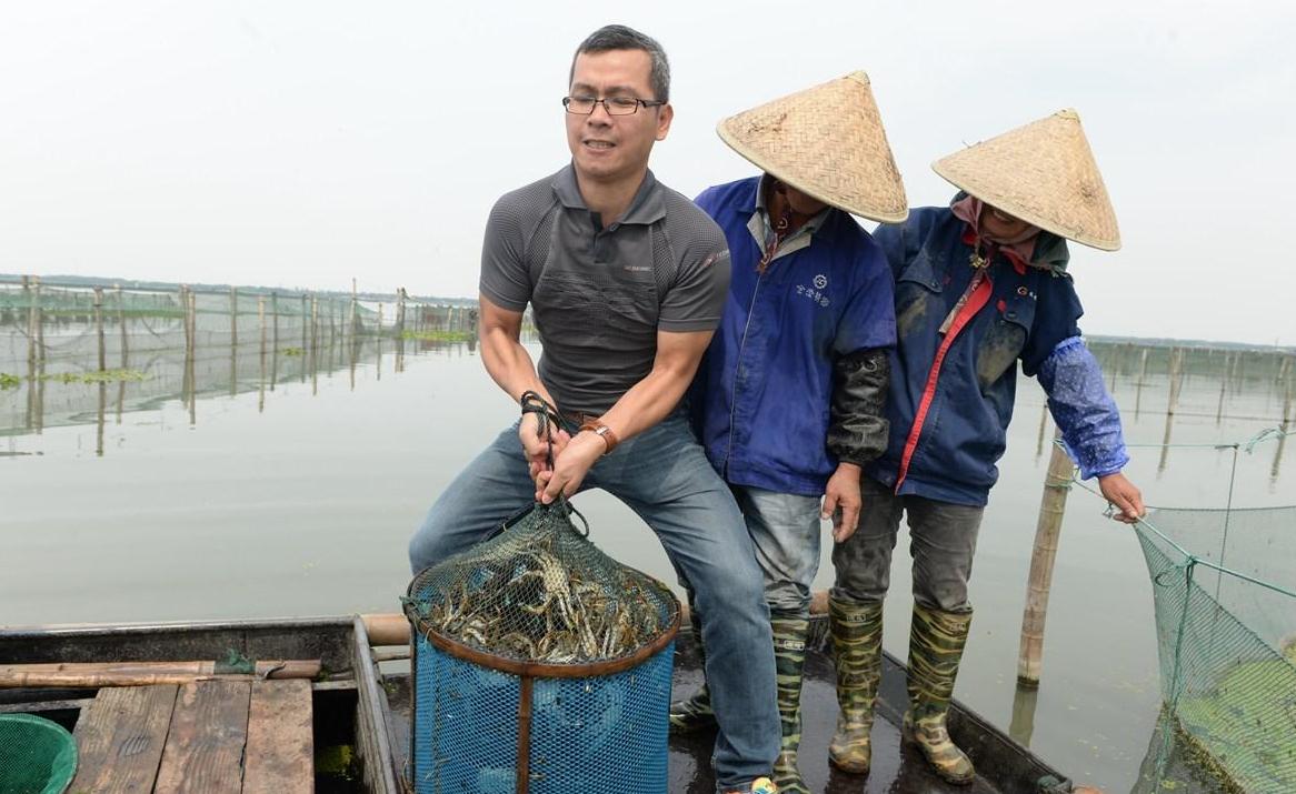 产地大闸蟹究竟是如何捕捞上来的实拍阳澄湖蟹农捕蟹现场多图