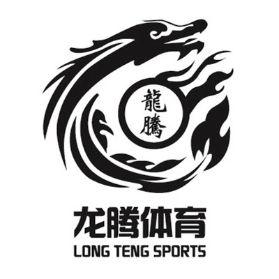 龙腾团队logo图片