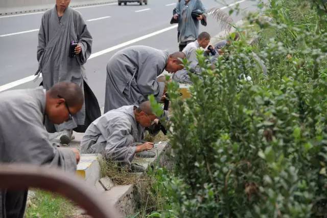 闢謠|108國道來了一群和尚要偷小孩?真相是.