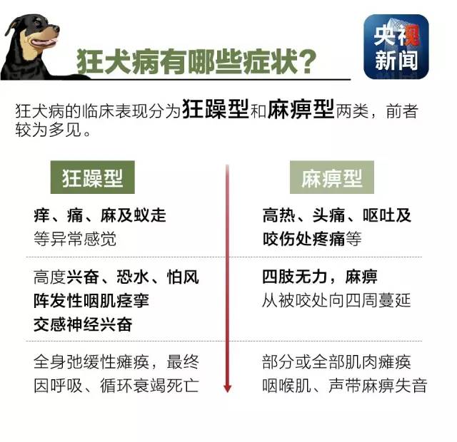 雖然狂犬病發病的死亡率接近100%,但是請先淡定!