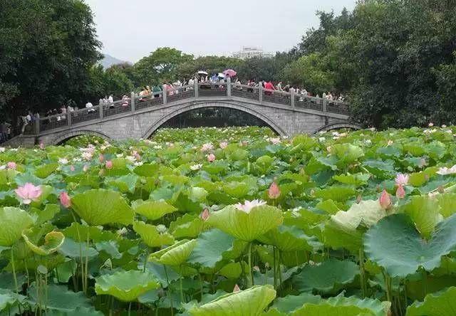 东起洪湖东路和文锦北路,西至洪湖西路,南北分别以笋岗桥和泥岗桥为界