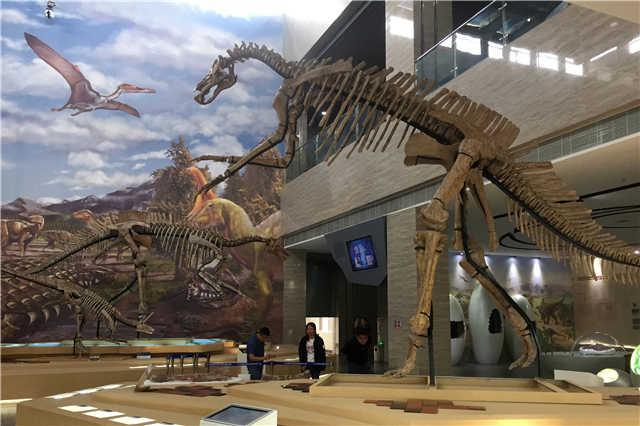 莱阳市恐龙博物馆图片