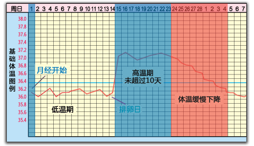 黄体不足的基础体温图图片