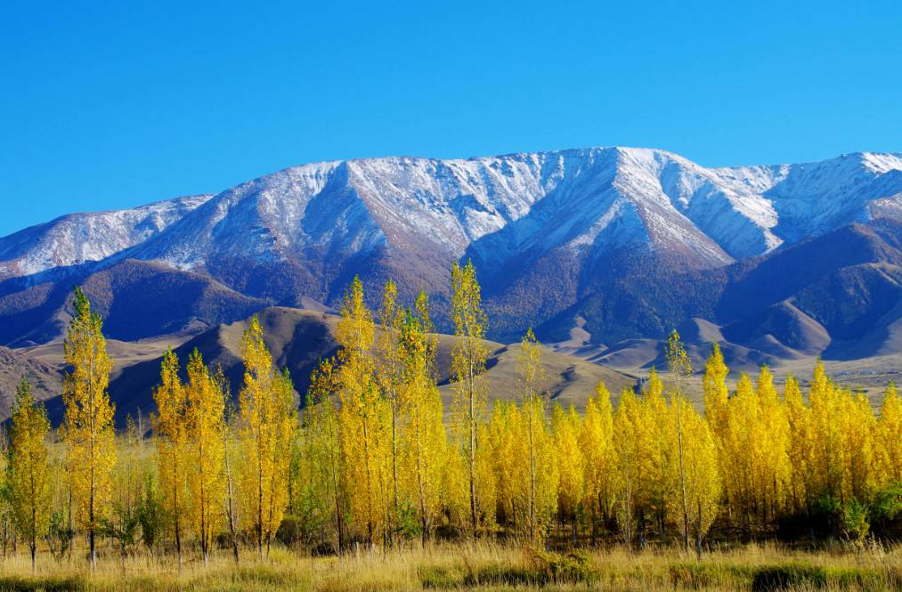 作品名称:巴里坤天山雪山秋景美如画