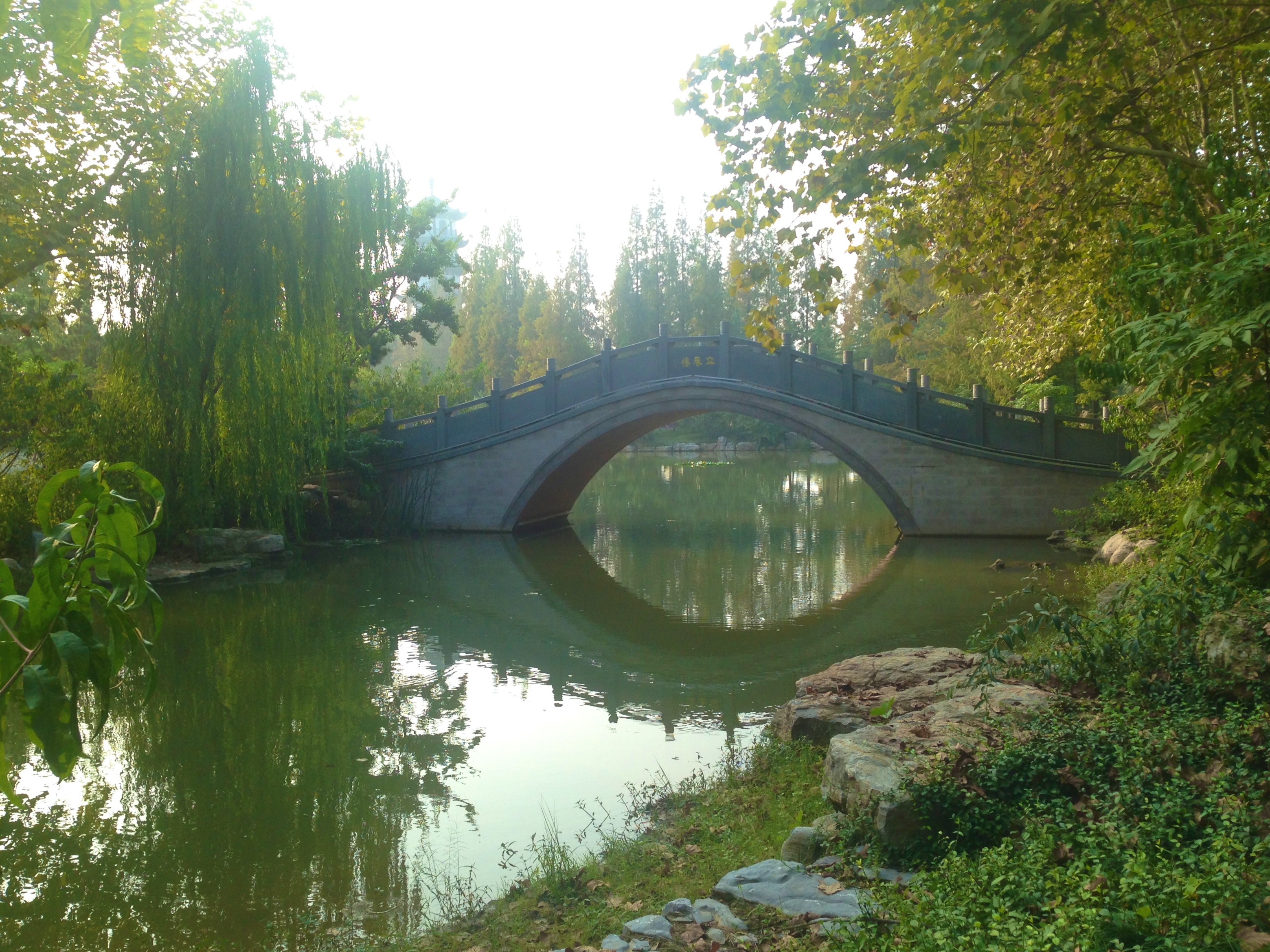 邳州桃花岛简介图片