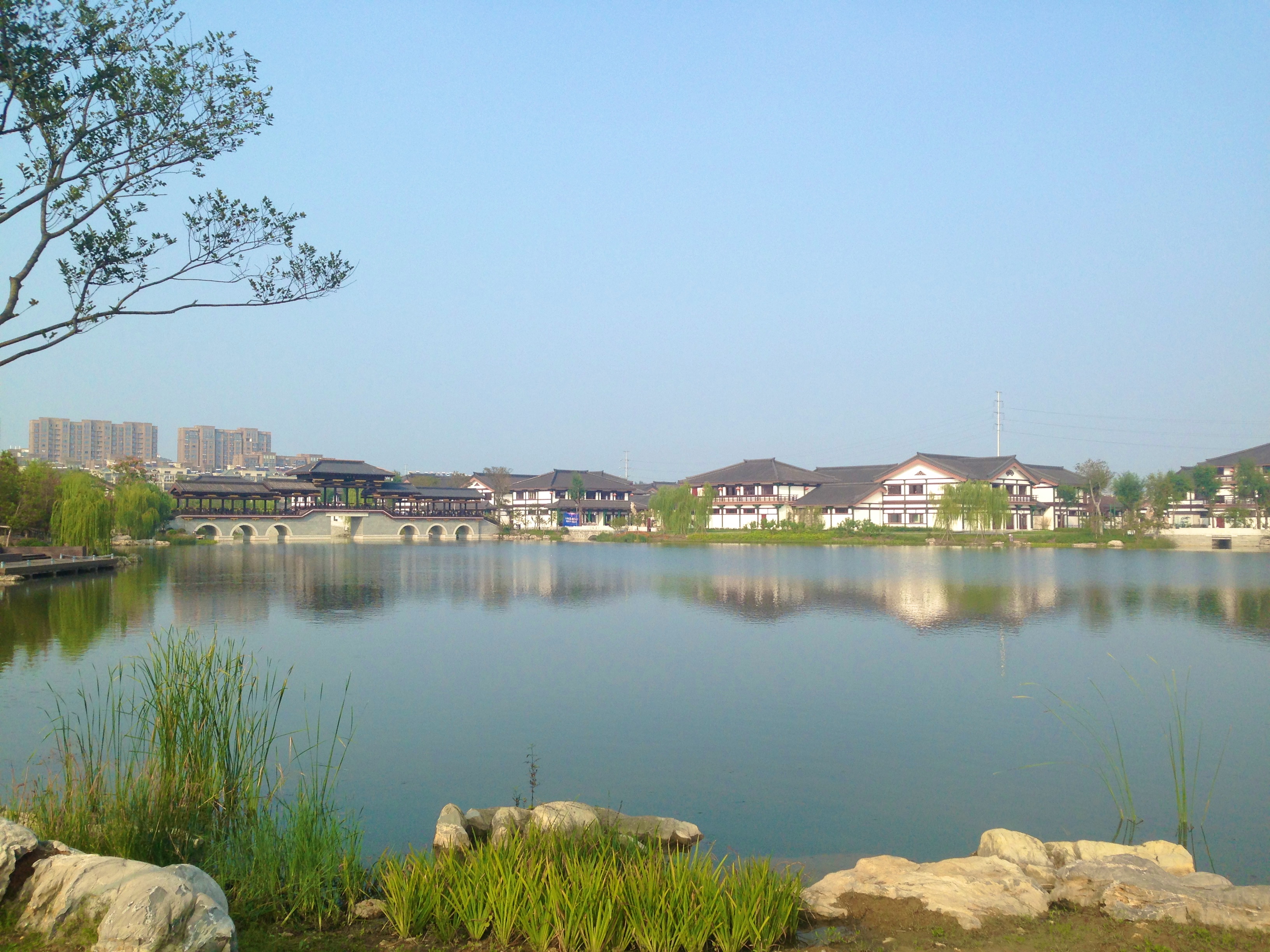 邳州桃花岛的美景图片
