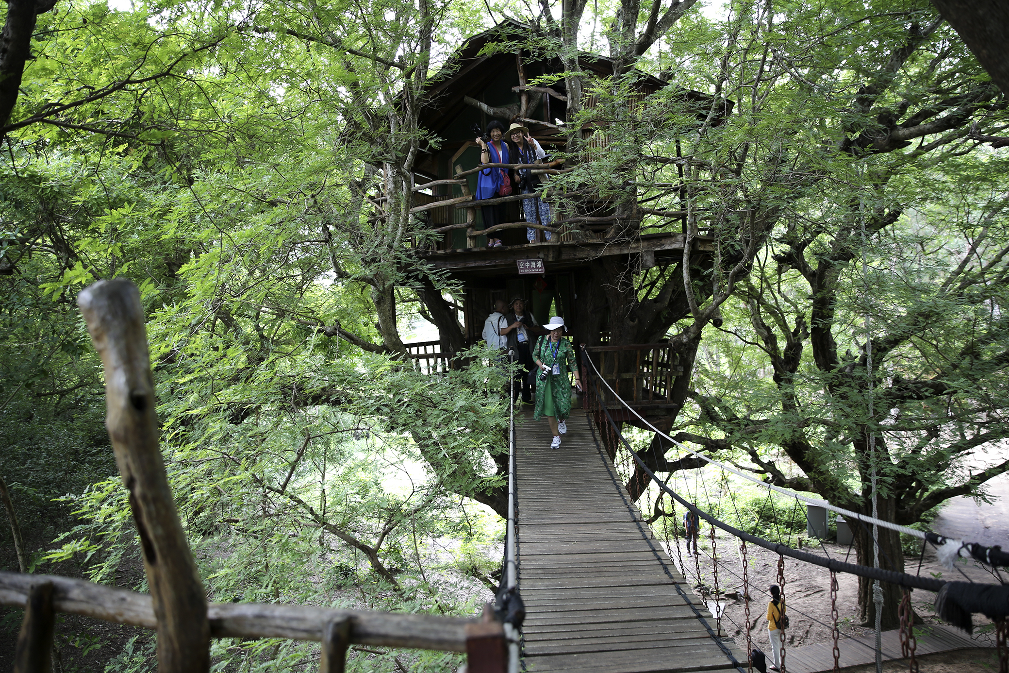 与绛红相反,色泽古奥的南山寺酸豆树屋