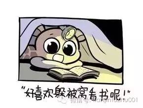 上學時躲在被窩裡看的青春小說,如今翻拍成了影視劇!