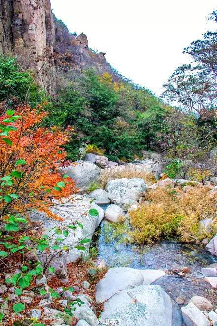 崂山北九水—最色五彩林