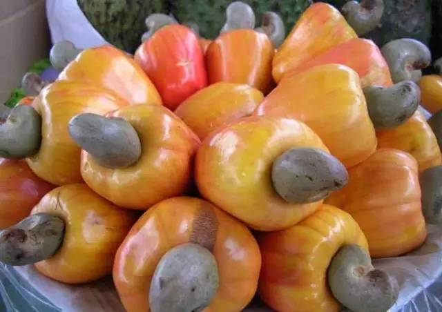 市面上卖的腰果菠萝芒果莲雾香榧百香果枸杞黑瓜子源自这种打瓜