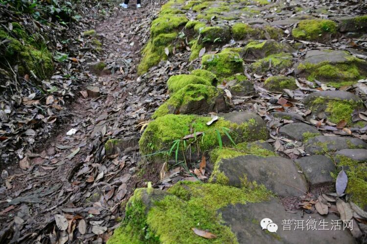 崎岖鸟道锁雄边,一路青云直上天 