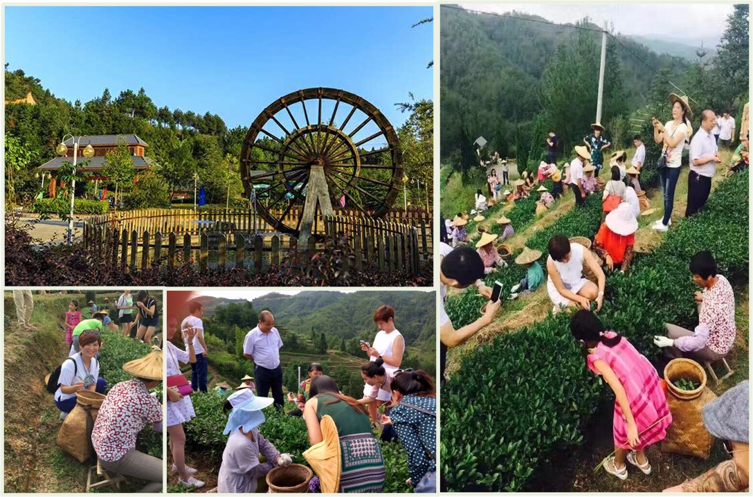 茶文化體驗食遊住行樂