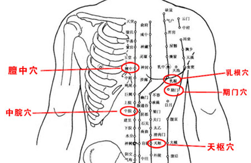 前胸经络图及功用解析图片