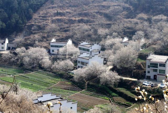 还地桥镇土库村,茗山乡仄船村,殷祖镇七冲村,茗山乡屋段村,茗山乡华若