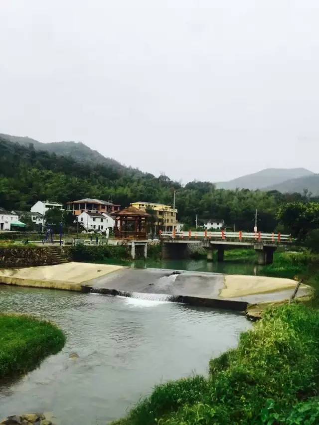 鳌江有个美丽的地方,她叫城北村(图)