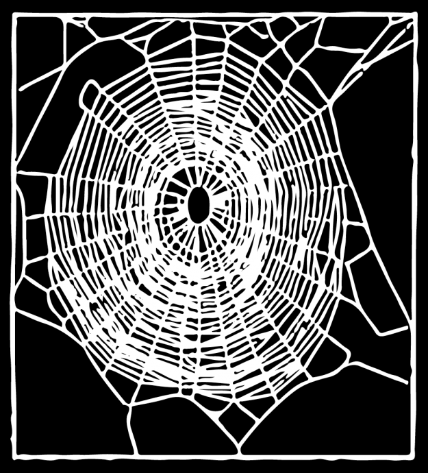 正常蜘蛛结的网:精巧,细密,完善