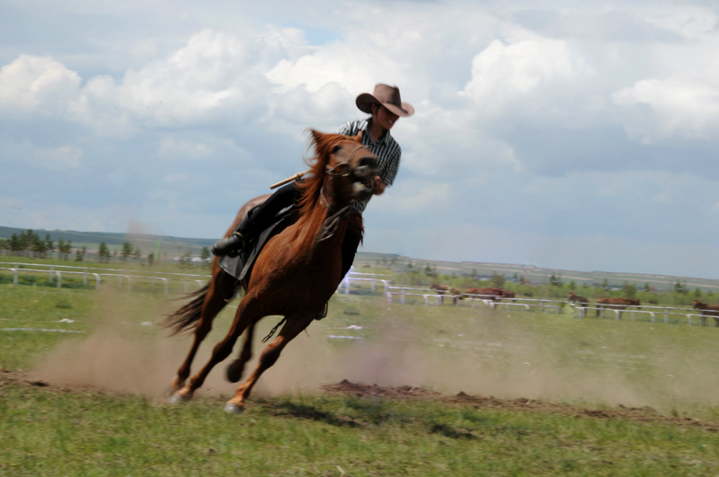 草原骑马飞奔的图片图片