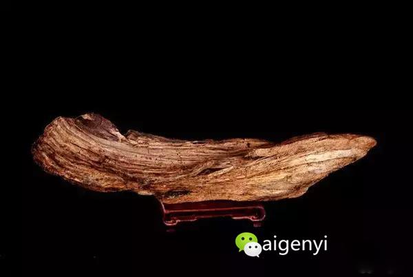 奇楠,世界上最贵的木头,比黄金还贵几十倍!