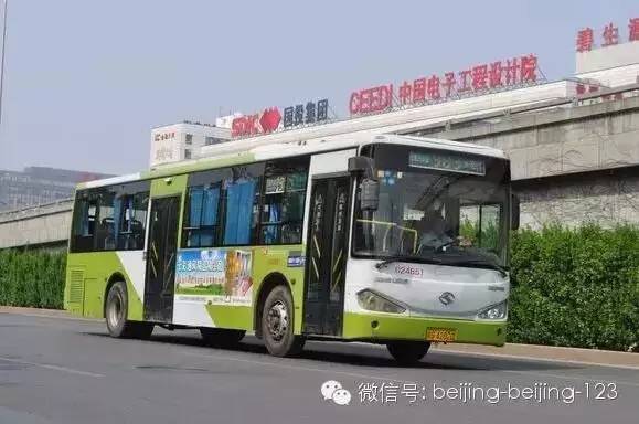 北京公交983路2020图片