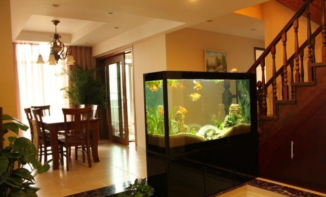 鱼缸放在客厅哪个位置图片