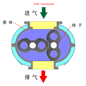 ▼04 罗茨真空泵水环式真空泵工作原理:水环式真空泵叶片的叶轮偏心地