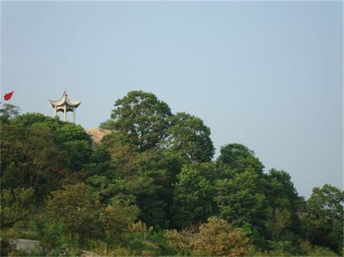 平邑县仙姑山位置图片