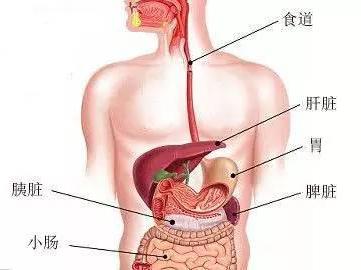 科普简单点身体里的囊肿是怎么回事