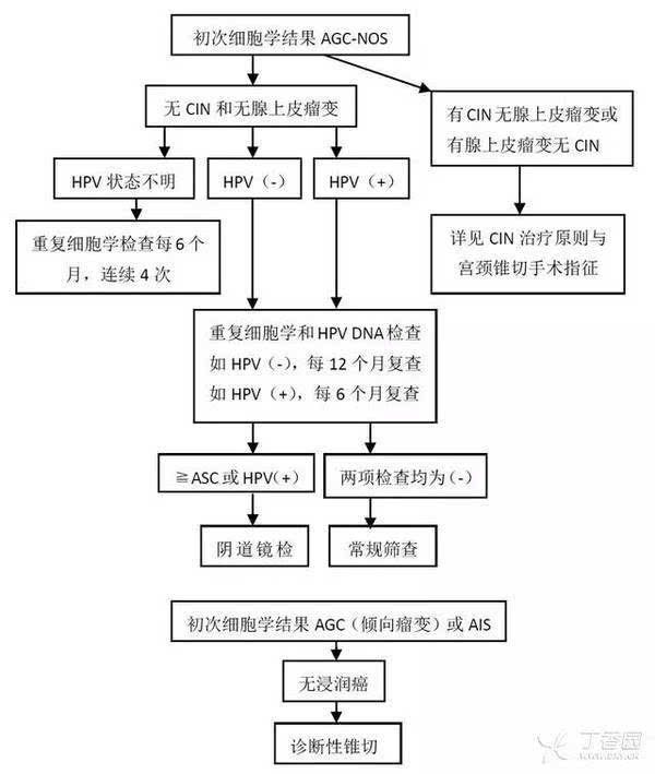 agc 的处理流程关于 hpv 在宫颈癌筛查中的应用1