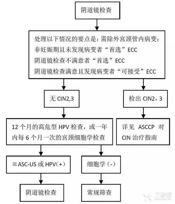 检查宫颈的步骤图片图片