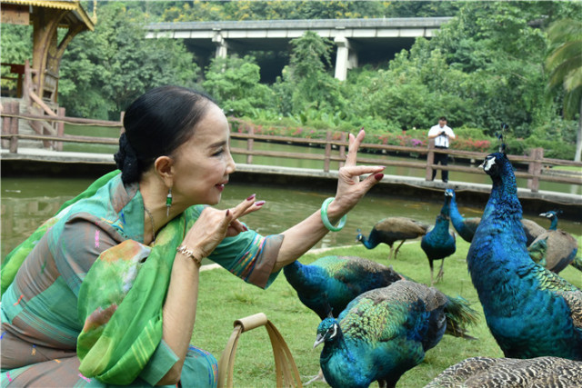 公主驾到原始森林公园迎来中国第一位孔雀公主
