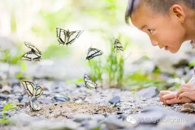 这个追蝴蝶的9岁少年把中国的自然保护区都玩遍,你敢不敢一起来?