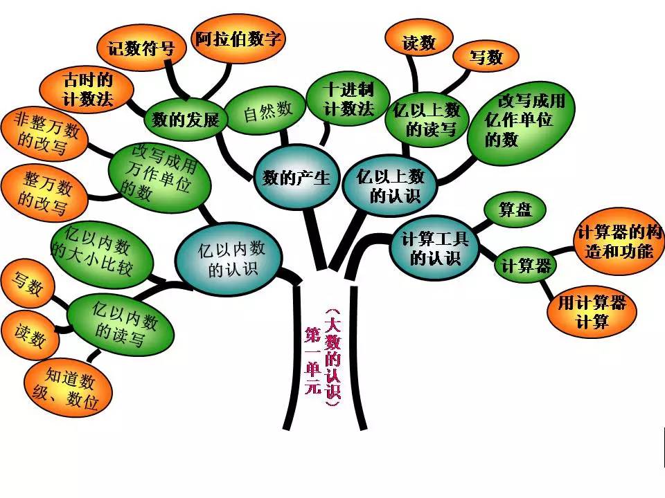 四年级上册数学树形图图片