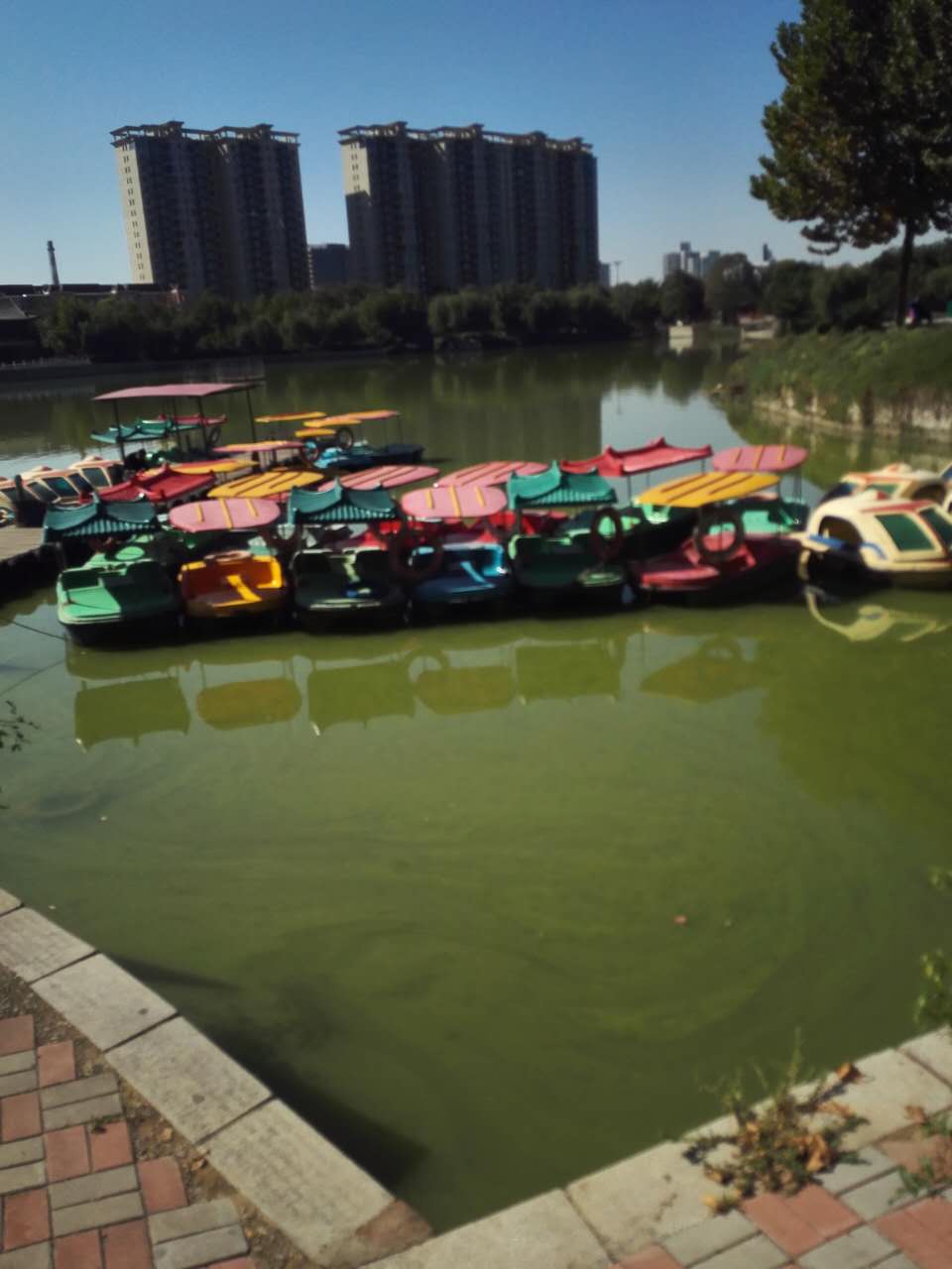 石家莊:水上公園成