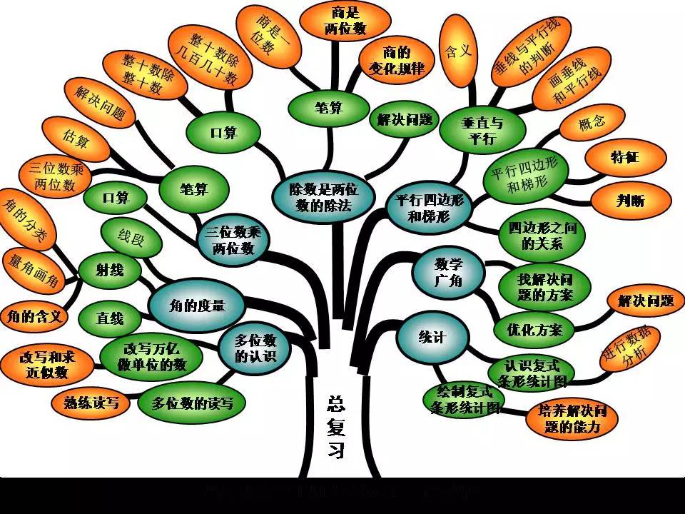 知识树框架图图片
