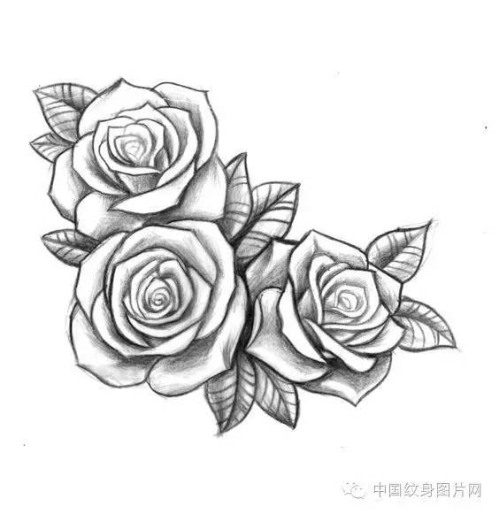 花瓣纹身手稿图片